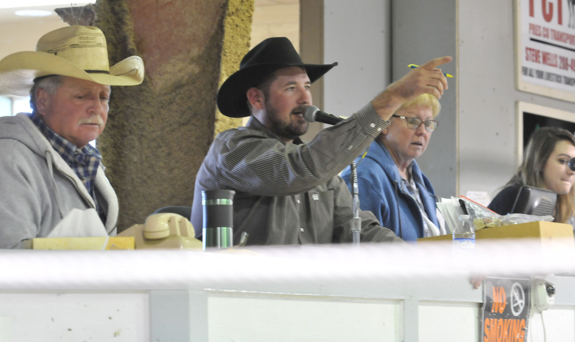 Cattle auction